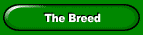 The Breed